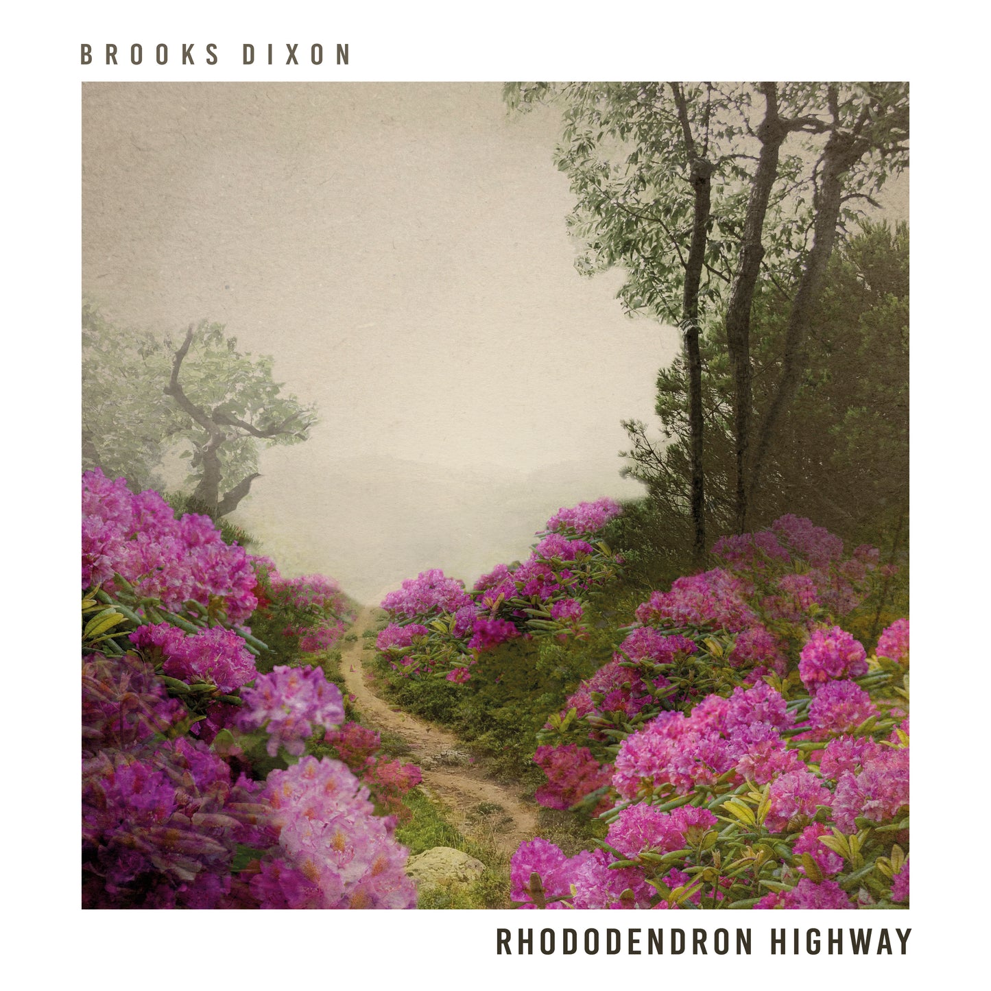 CD - Rhododendron Highway- Brooks Dixon